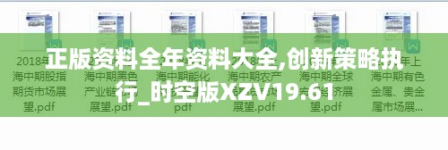 正版资料全年资料大全,创新策略执行_时空版XZV19.61