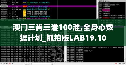 澳门三肖三淮100淮,全身心数据计划_抓拍版LAB19.10