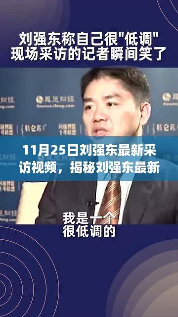 刘强东最新采访视频揭秘，未来战略与电商新动向展望