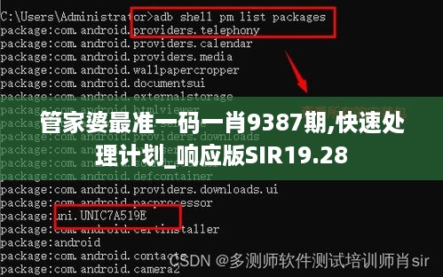 管家婆最准一码一肖9387期,快速处理计划_响应版SIR19.28