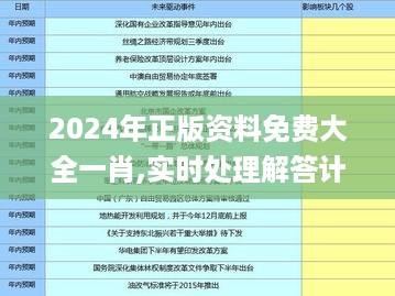 2024年正版资料免费大全一肖,实时处理解答计划_神念境HAQ10.26