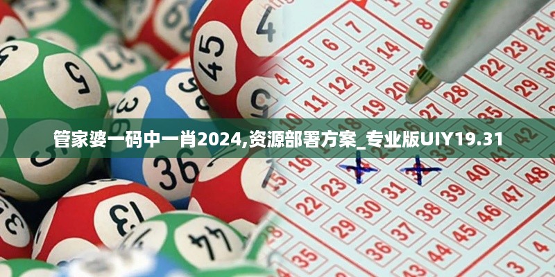 2024年11月 第448页