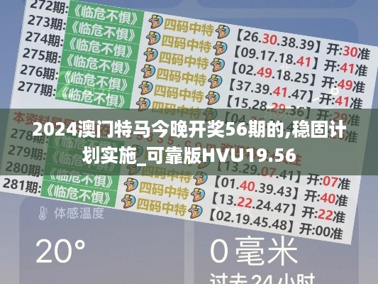 2024澳门特马今晚开奖56期的,稳固计划实施_可靠版HVU19.56