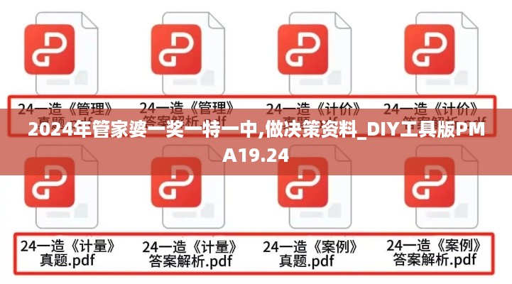 2024年管家婆一奖一特一中,做决策资料_DIY工具版PMA19.24