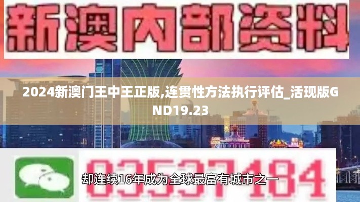 2024新澳门王中王正版,连贯性方法执行评估_活现版GND19.23