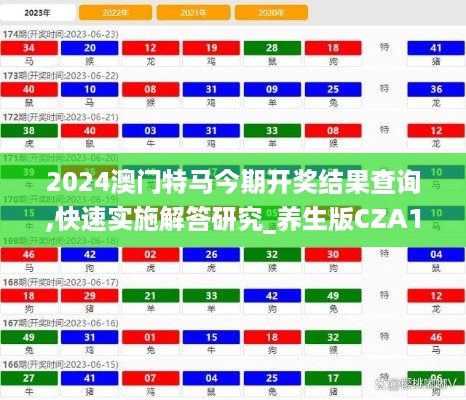 2024澳门特马今期开奖结果查询,快速实施解答研究_养生版CZA10.7