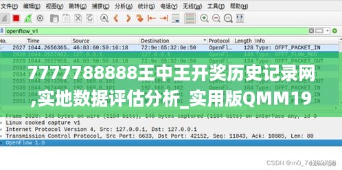 7777788888王中王开奖历史记录网,实地数据评估分析_实用版QMM19.90