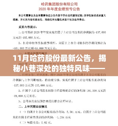 哈药股份最新公告背后的独特风味，隐藏特色小店的探访揭秘