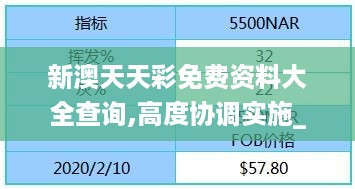 新澳天天彩免费资料大全查询,高度协调实施_家庭版FEM19.76