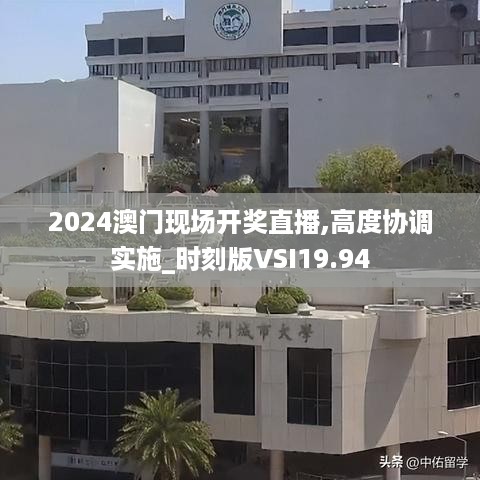 2024澳门现场开奖直播,高度协调实施_时刻版VSI19.94