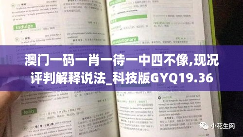 澳门一码一肖一待一中四不像,现况评判解释说法_科技版GYQ19.36