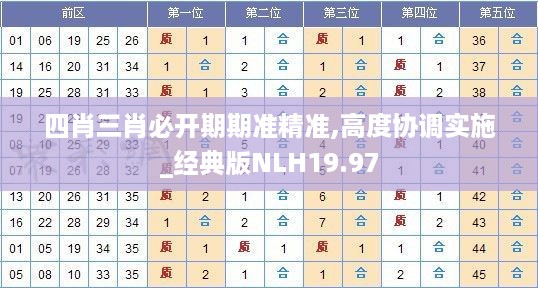 四肖三肖必开期期准精准,高度协调实施_经典版NLH19.97