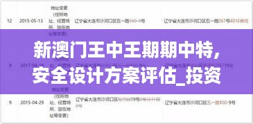 新澳门王中王期期中特,安全设计方案评估_投资版SSV19.49