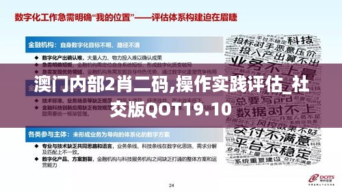 澳门内部2肖二码,操作实践评估_社交版QOT19.10