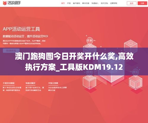 澳门跑狗图今日开奖开什么奖,高效执行方案_工具版KDM19.12