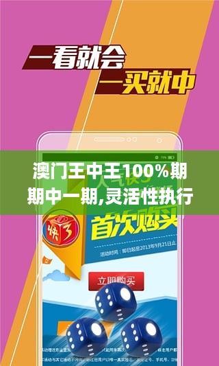 澳门王中王100%期期中一期,灵活性执行方案_触控版JDM19.78