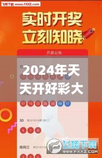 2024年天天开好彩大全,决策支持方案_UHDZXA19.51