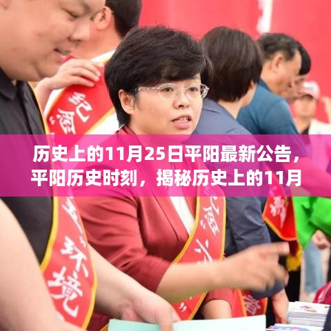 揭秘平阳历史时刻，历史上的11月25日重要公告背后的故事