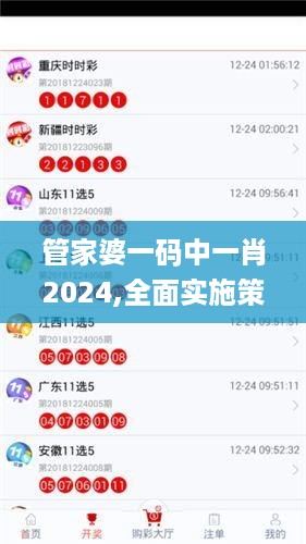 管家婆一码中一肖2024,全面实施策略设计_紧凑版BCH10.11