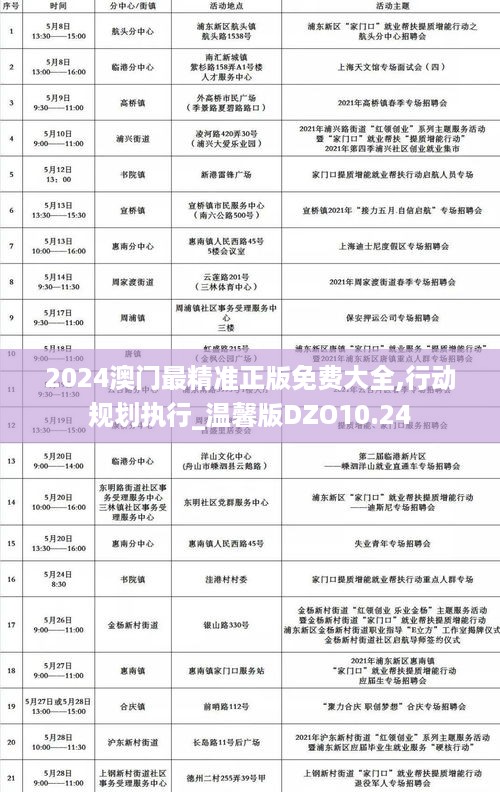 2024澳门最精准正版免费大全,行动规划执行_温馨版DZO10.24