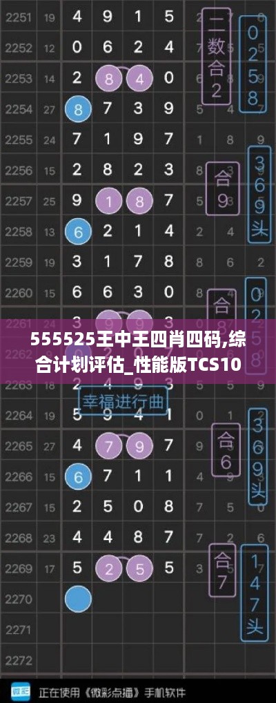 555525王中王四肖四码,综合计划评估_性能版TCS10.60