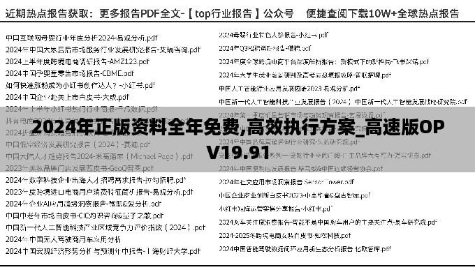 2024年正版资料全年免费,高效执行方案_高速版OPV19.91