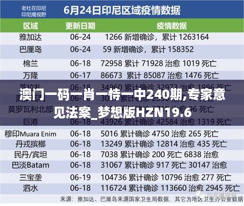 澳门一码一肖一恃一中240期,专家意见法案_梦想版HZN19.6