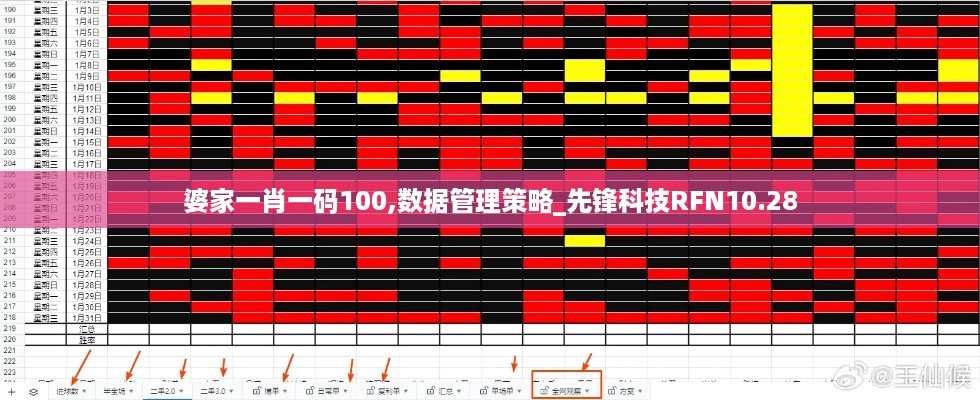 婆家一肖一码100,数据管理策略_先锋科技RFN10.28