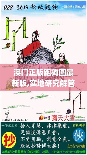 澳门正版跑狗图最新版,实地研究解答协助_1440pUYJ19.22