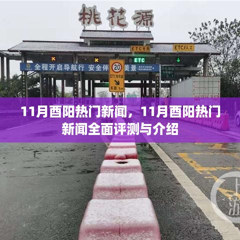 11月酉阳热门新闻全面解析与介绍