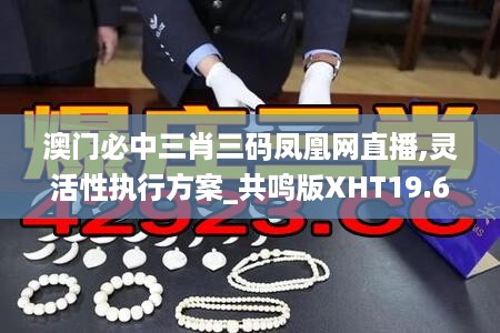 澳门必中三肖三码凤凰网直播,灵活性执行方案_共鸣版XHT19.61