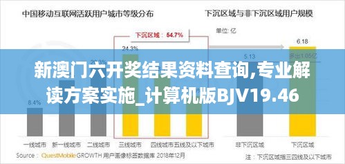 新澳门六开奖结果资料查询,专业解读方案实施_计算机版BJV19.46