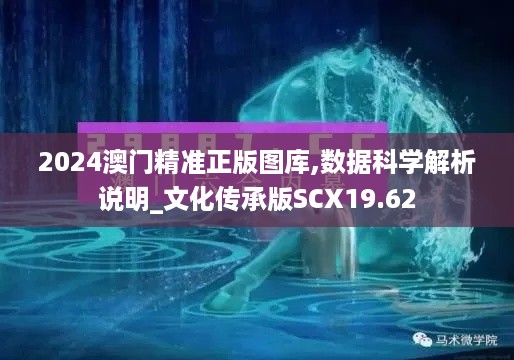 2024澳门精准正版图库,数据科学解析说明_文化传承版SCX19.62