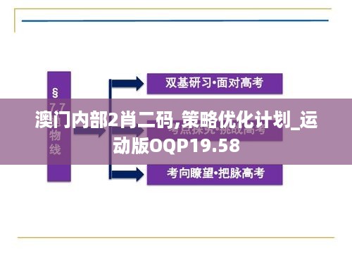 澳门内部2肖二码,策略优化计划_运动版OQP19.58