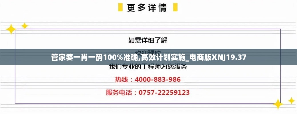 管家婆一肖一码100%准确,高效计划实施_电商版XNJ19.37