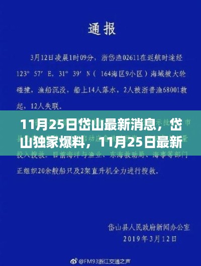 11月25日独家爆料，岱山最新动态揭秘