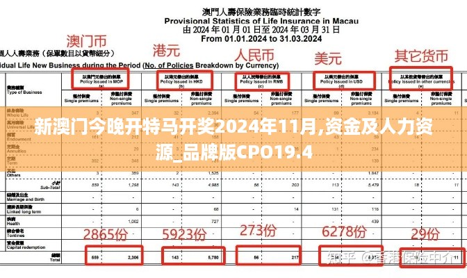 新澳门今晚开特马开奖2024年11月,资金及人力资源_品牌版CPO19.4