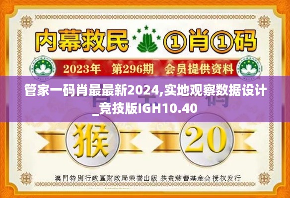 管家一码肖最最新2024,实地观察数据设计_竞技版IGH10.40