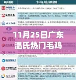 广东温氏毛鸡价格揭秘，一探毛鸡日常温馨生活