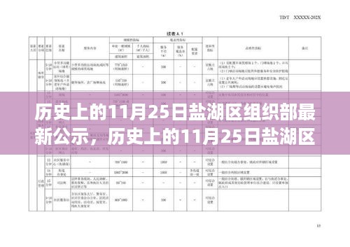 盐湖区组织部公示系统评测，特性、体验与用户群体分析，历史上的今天公示概览