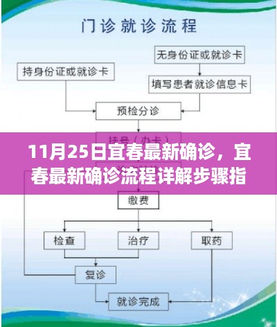 宜春最新确诊详解，流程步骤指南（初学者与进阶用户通用）