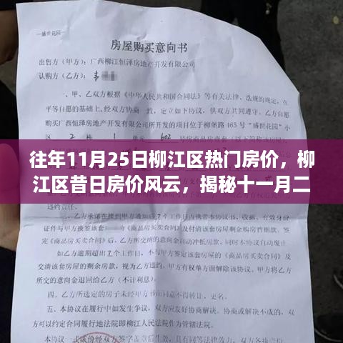 揭秘柳江区昔日房价风云，十一月二十五日热门楼盘的辉煌变迁与房价风云纪实