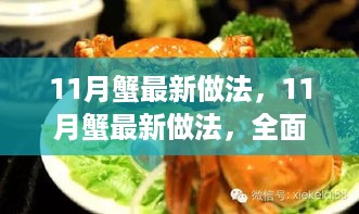 全面评测与深度介绍，11月蟹最新做法揭秘