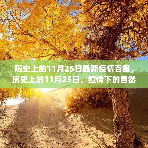 历史上的11月25日最新疫情百度，历史上的11月25日，疫情下的自然美景之旅，寻找内心的宁静与平和