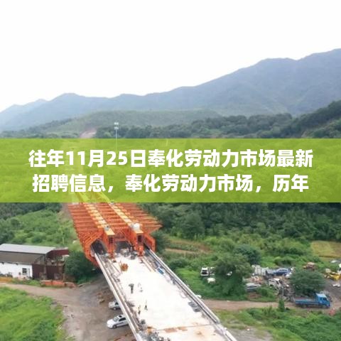 历年11月25日奉化劳动力市场深度洞察与最新招聘概览