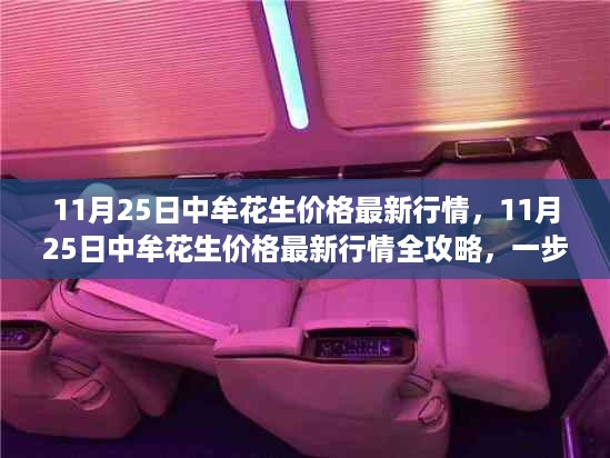 11月25日中牟花生价格最新行情解析，全方位指南助你洞悉市场动态