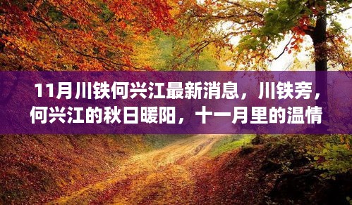 川铁旁何兴江的秋日暖阳，最新温情故事揭秘