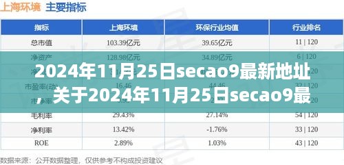 关于2024年11月25日secao9最新地址的解析与探讨，违法犯罪问题探讨