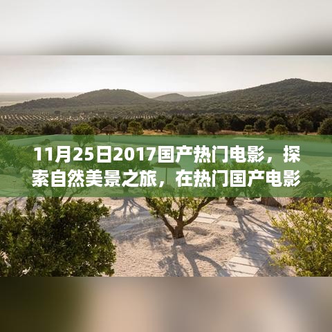 热门国产电影之夜，探索自然美景之旅，找回内心的宁静与平和（2017年11月25日）