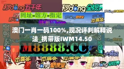 澳门一肖一码100%,现况评判解释说法_携带版IWM14.50